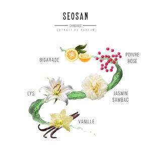 Alternative view of SEOSAN